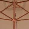 Elegant Outdoor Parasol with Wooden Pole - 200x300 cm Taupe