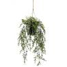 Emerald Artificial Boxwood Hanging Bush - 50 cm | HipoMarket