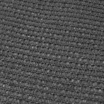 Tent Carpet 250x500 cm Anthracite - Comfort for Camping Trips