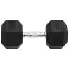 Dumbbells 2 pcs 20 kg Cast Iron - Durable & Versatile Workout