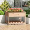 Planter with Shelf 111.5x111.5x81 cm Solid Wood Pine Colour natural Size 111.5 x 111.5 x 81 cm Quantity in Package 1 