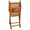 Folding Outdoor Chairs Set - 4 pcs Solid Acacia Wood