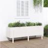 Garden Raised Bed White 160x50x57 cm Solid Wood Pine Colour white pine Size 160 x 50 x 57 cm Quantity in Package 1 