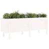 Garden Raised Bed White 160x50x57 cm Solid Wood Pine