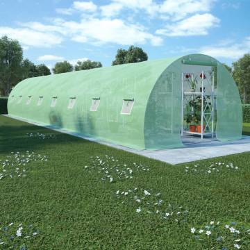 Spacious 36m² Greenhouse - Protect Your Plants | HipoMarket