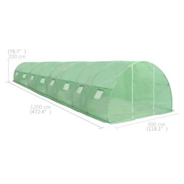 Spacious 36m² Greenhouse - Protect Your Plants | HipoMarket