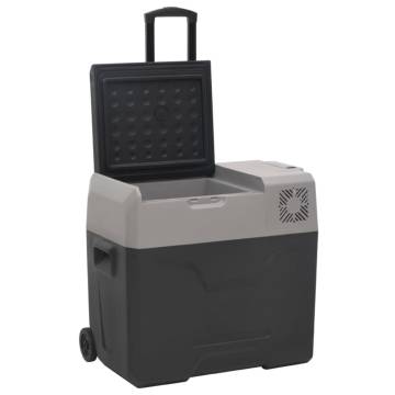 Cool Box with Wheels & Handle - 50L Black & Grey