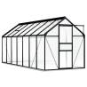 Greenhouse with Base Frame Anthracite Aluminium 8.17 m² Size 190 x 430 x 202 cm Quantity in Package 1 