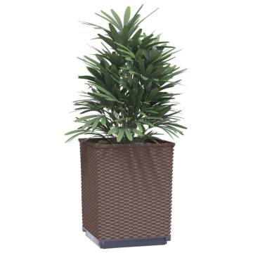 Brown Planters 2 pcs - Durable Polypropylene 30x30x37 cm