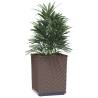 Brown Planters 2 pcs - Durable Polypropylene 30x30x37 cm