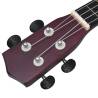 Soprano Ukulele Set for Kids - Light Wood 23" | HipoMarket