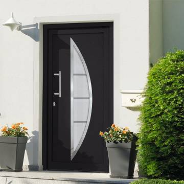 Elegant Anthracite Front Door 108x208 cm | HipoMarket