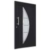 Elegant Anthracite Front Door 108x208 cm | HipoMarket