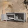 Concrete Grey TV Cabinet 90x35x40 cm - Stylish Storage Solution