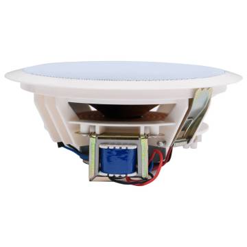 Built-in Wall & Ceiling Speakers - 240W Peak Power (2 pcs)