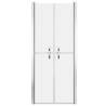 Shower Door Frosted ESG 91x190 cm - Stylish & Functional