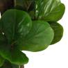 Artificial Fiddle Leaf Fig Tree - 80 cm, 96 Leaves | HipoMarket