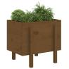 Garden Planter Honey Brown 62x50x57 cm - Solid Pine Wood