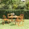 Folding Garden Chairs 4 pcs Solid Wood Acacia Quantity in Package 4 