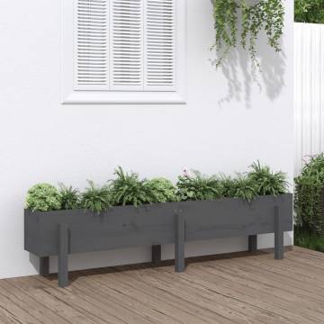 Garden Raised Bed Grey 160x30x38 cm Solid Wood Pine