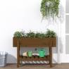 Garden Raised Bed Honey Brown - Solid Pine Wood 101x30x69 cm