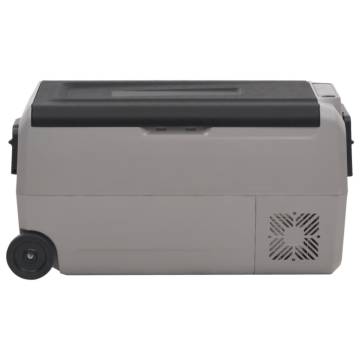 Portable Cool Box with Wheels - 60L Black & Grey - Hipomarket