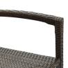 Brown Poly Rattan Bar Stools - 2 pcs Set for Indoor & Outdoor