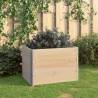 Raised Beds 3 pcs 60x80 cm Solid Pine Wood (310049) Size 60 x 80 cm Quantity in Package 3 