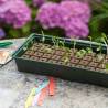 Nature Propagator Mini Kit - 4x16 Cells for Seedlings