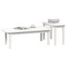 2 Piece Coffee Table Set - White Solid Pine Wood | Hipo Market