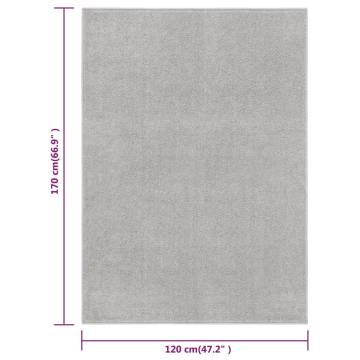 Elegant Light Grey Short Pile Rug 120x170 cm - Hipomarket