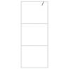 Modern Walk-in Shower Wall 80x195 cm Clear ESG Glass