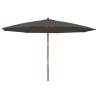 Garden Parasol with Wooden Pole - 400x273 cm Anthracite Shade