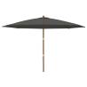 Garden Parasol with Wooden Pole - 400x273 cm Anthracite Shade