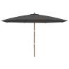 Garden Parasol with Wooden Pole - 400x273 cm Anthracite Shade