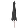 Garden Parasol with Wooden Pole - 400x273 cm Anthracite Shade