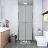 Shower Door Frosted ESG 81x190 cm Colour silver Size 81 x 190 cm Model frosted 