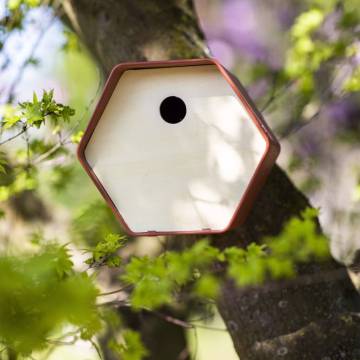 Capi Bird House Hive 1 - Round Hole Brown | Hipomarket