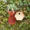 Capi Bird House Hive 1 - Round Hole Brown | Hipomarket