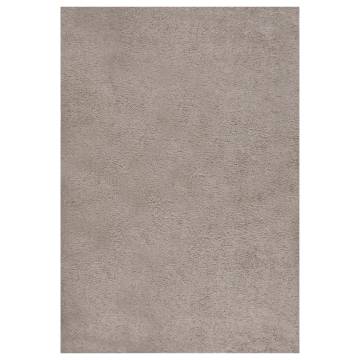 Shaggy Rug High Pile Beige 160x230 cm - Comfort & Style