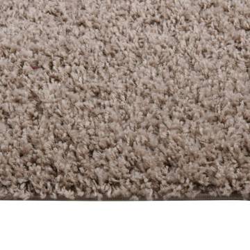 Shaggy Rug High Pile Beige 160x230 cm - Comfort & Style