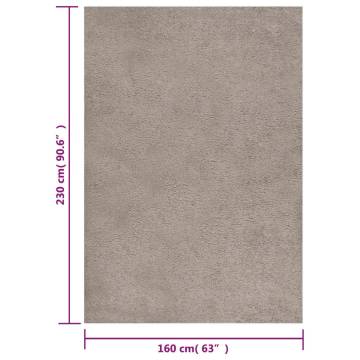 Shaggy Rug High Pile Beige 160x230 cm - Comfort & Style