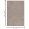 Shaggy Rug High Pile Beige 160x230 cm - Comfort & Style