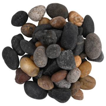 Polished Pebbles 10 kg Mixed Colour 5-8 cm - HipoMarket