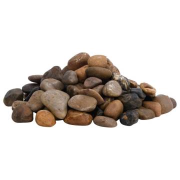 Polished Pebbles 10 kg Mixed Colour - Perfect for Aquariums