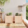 Garden Planters 2 pcs Solid Wood Pine | Hipomarket