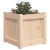 Garden Planters 2 pcs Solid Wood Pine | Hipomarket