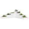 Garden Planter 4-Tier 106x104.5x36 cm White Solid Wood Pine Colour white pine Size 106 x 104.5 x 36 cm Quantity in Package 1 