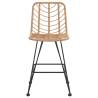 Stylish Bar Stools 2 pcs - Rattan & Steel - 45x56x103.5 cm