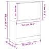 Shoe Cabinet with 2 Flip-Drawers - Grey Sonoma 80x42x108 cm